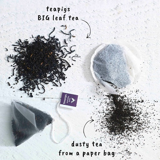Teapigs Everyday Brew Tea - Prism Bags (1x50)