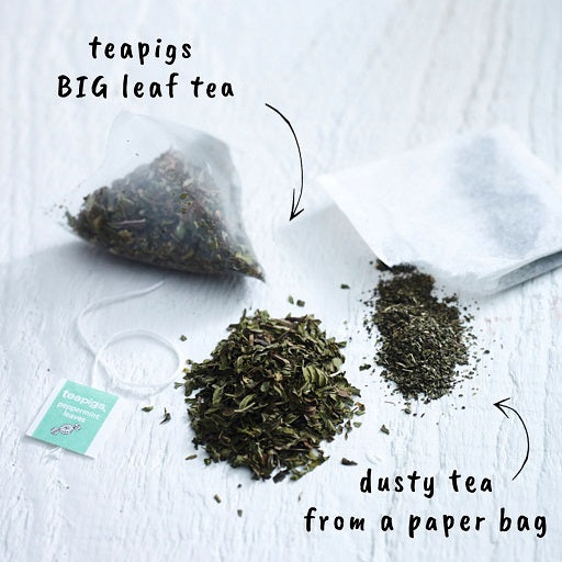 Teapigs Peppermint Tea - Prism Bags (1x50)